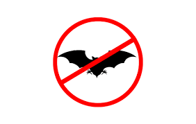 Dedetizadora na Vila Romana de morcegos